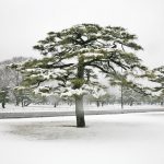 Imperial Palace