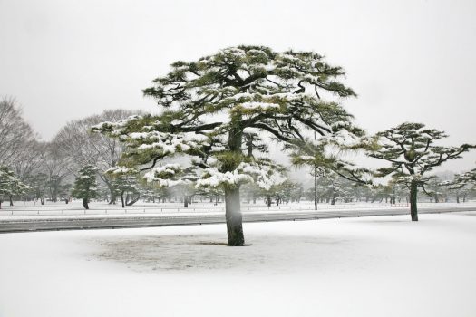 Imperial Palace in winter