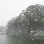Imperial Palace