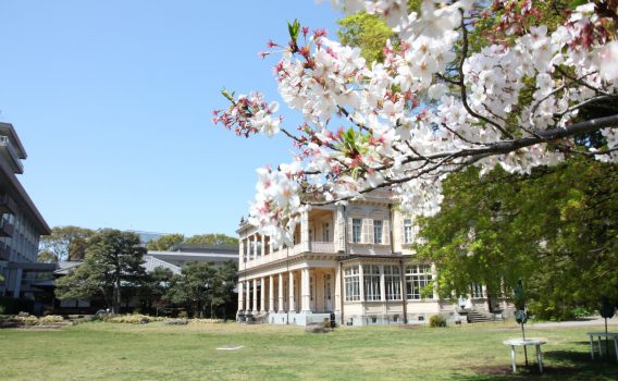 Kyu-Iwasaki-tei Gardens