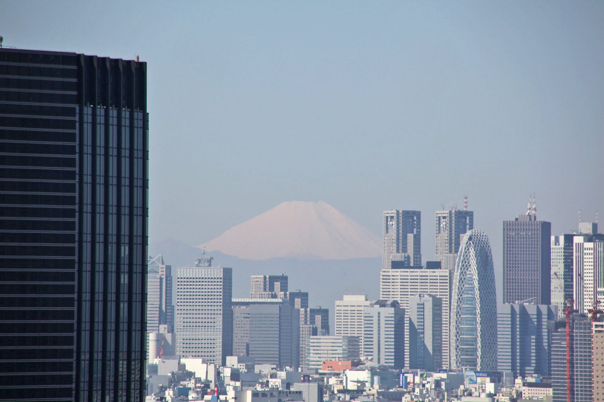 Mount Fuji as seen from Bunkyo Civic center