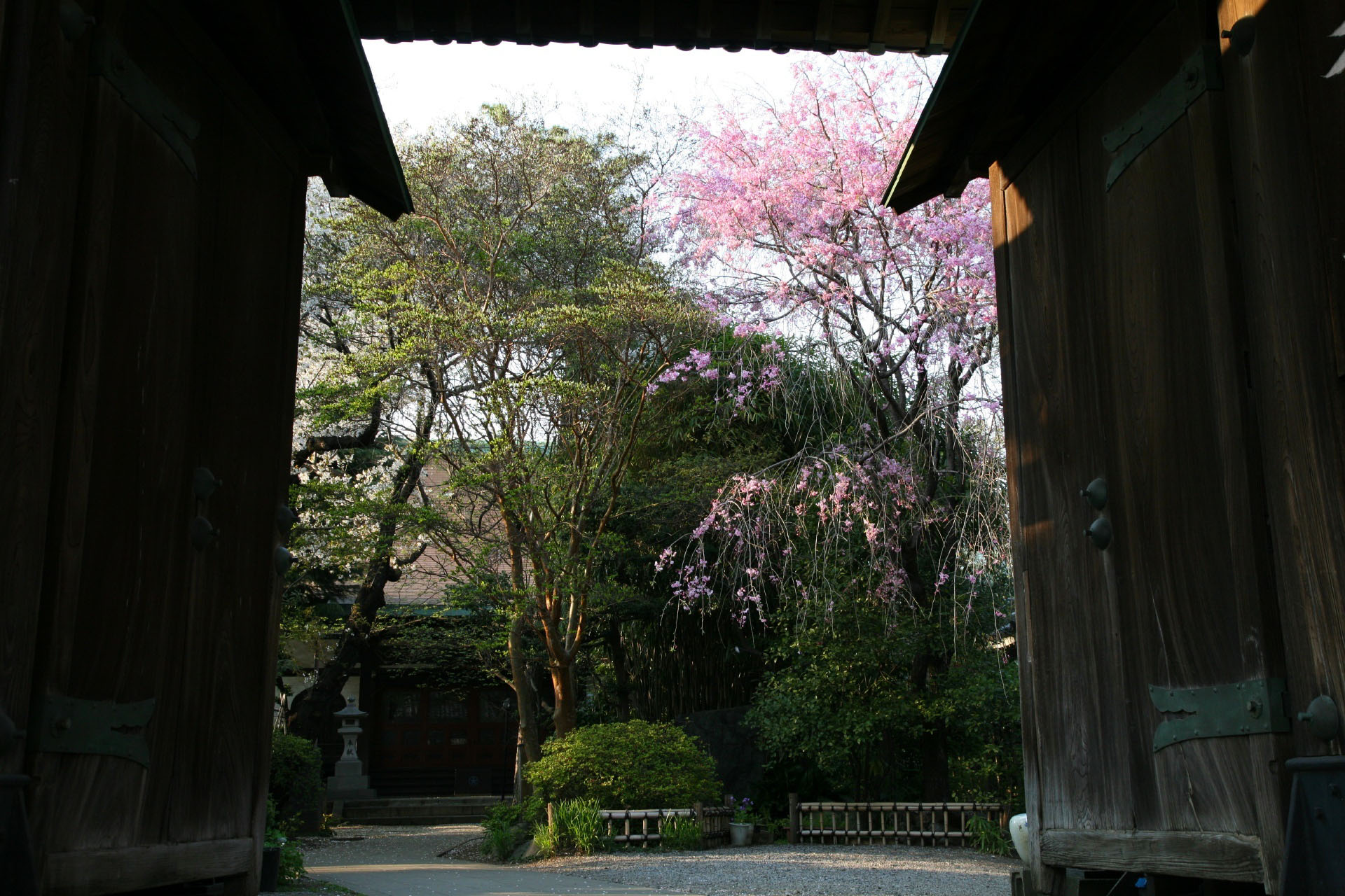 hongyo-ji-temple