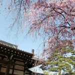 Myoshoji