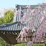 Myoshoji