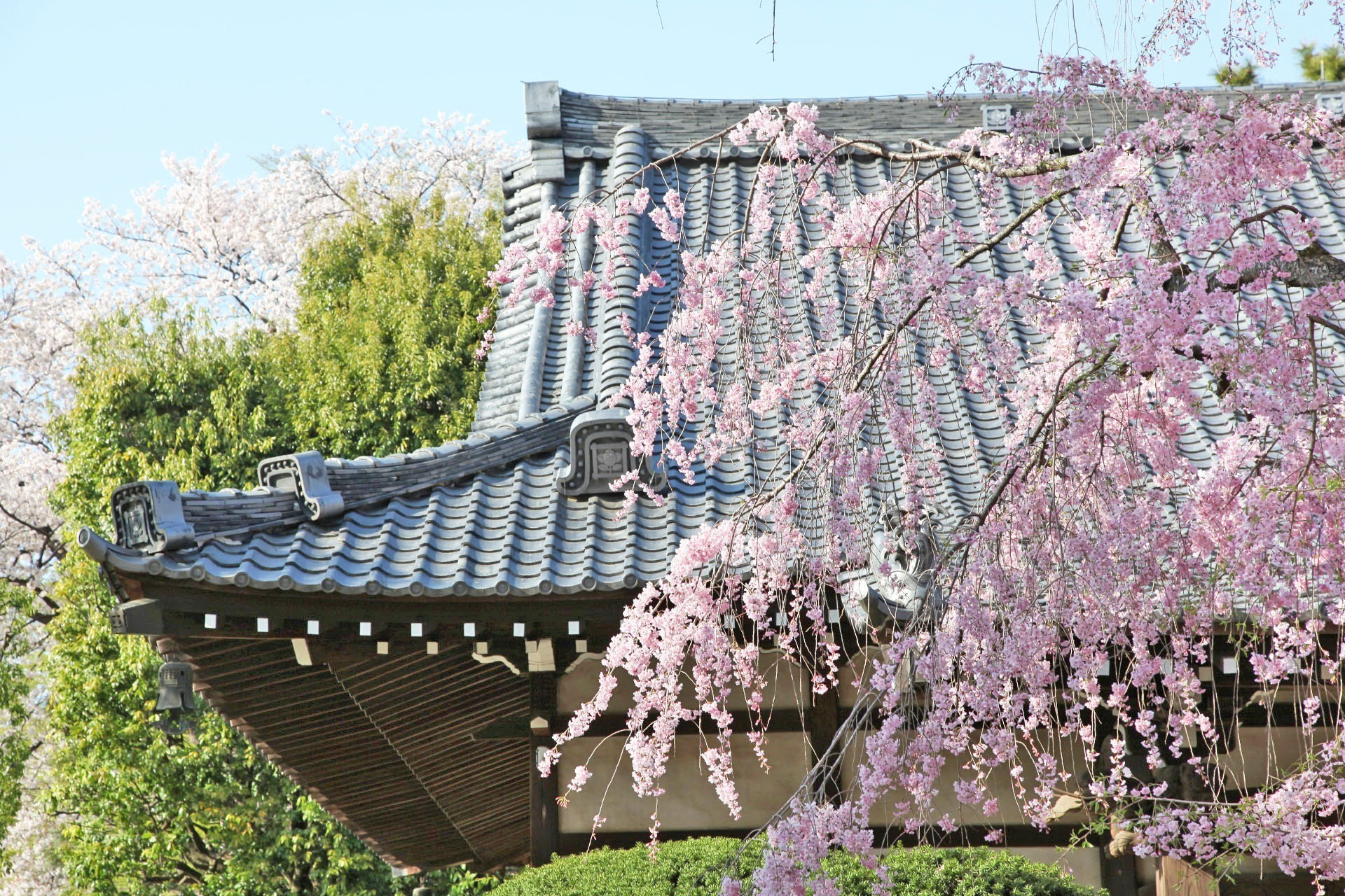 Kyu-Iwasaki-tei-Garden