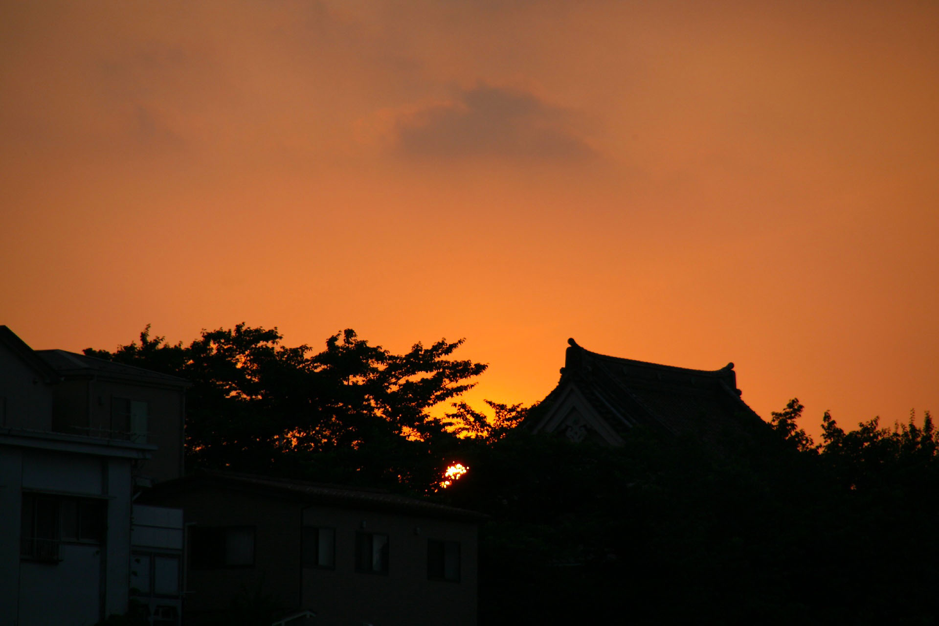 Sunset at Nippori station