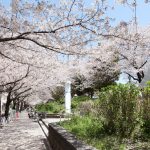 Sumida Park