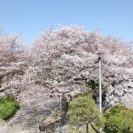 Sumida Park